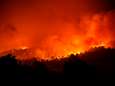Bosbranden op Grieks eiland na drie dagen deels onder controle, maar "ecologische ramp"