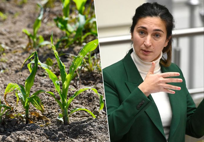 “Hoewel het nog volop winter is, bereiden we ons nu al voor op eventuele droge zomermaanden”, zegt Vlaams minister van Omgeving Zuhal Demir (N-VA).