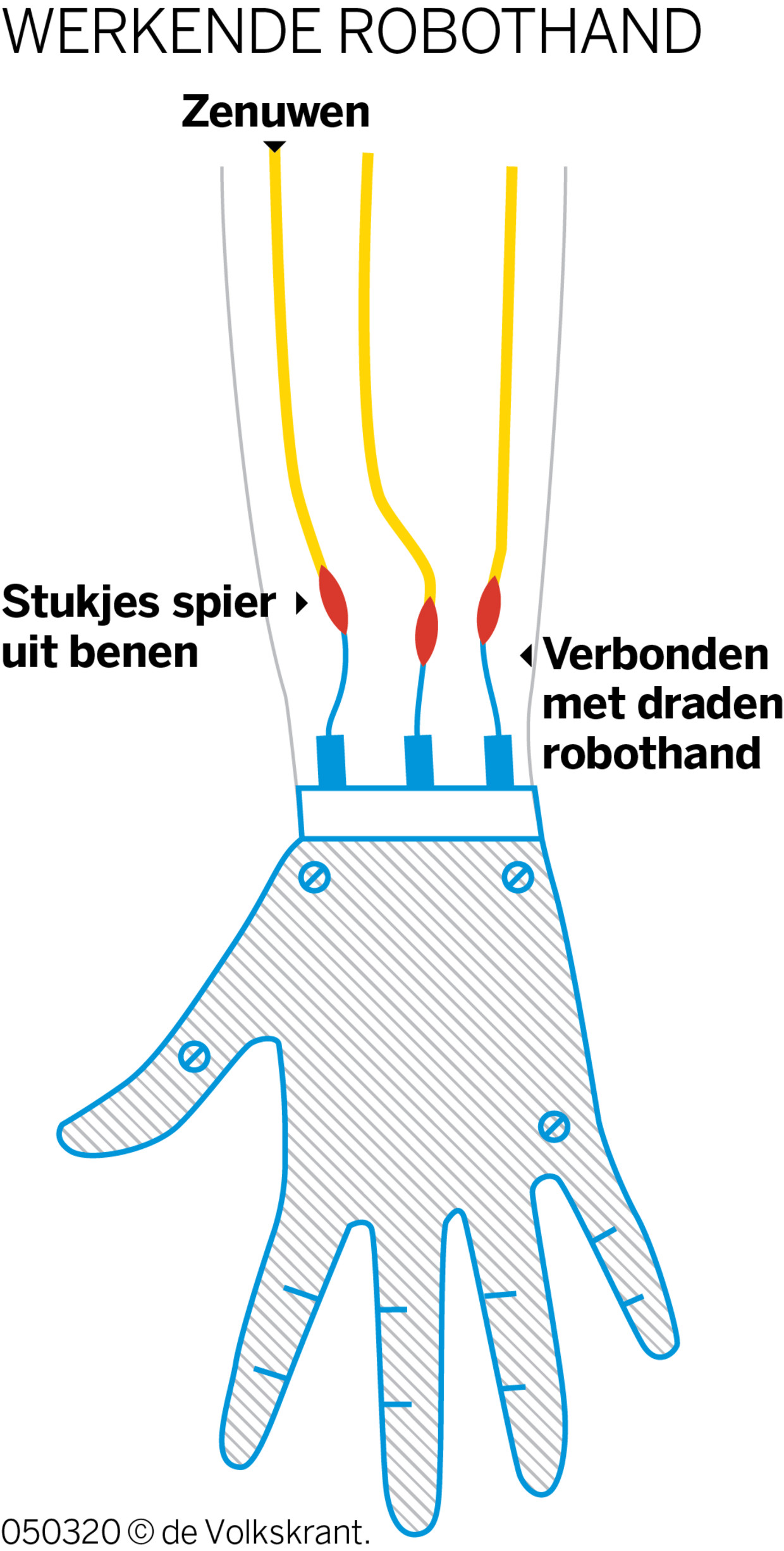 null Beeld 
