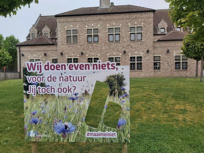 De gemeente Haaltert zal vier grote graspleinen een maand lang niet maaien naar aanleiding van de actie Maai Mei Niet. In de grasperken die niet gemaaid worden, staan borden die tonen waarom er even niet gemaaid wordt.