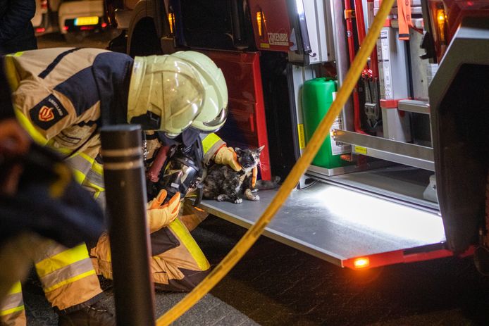 Een woning aan de Sint Jacobstraat in Kampen is zondagavond vol rook komen te staan na een brand. Twee personen zijn naar het ziekenhuis gebracht. De brandweer ontfermde zich over een jonge kat.