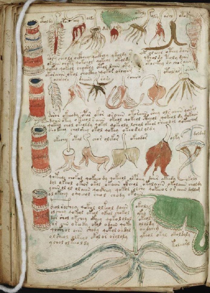 Een pagina uit het Voynich Manuscript
