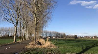 Nieuwe wijk in Liempde oogst bijval: ‘Wij willen graag weer deze kant uit’