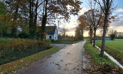 Plan voor 5 tiny houses voor recreatieve verhuur in buitengebied Gerwen