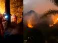 Al meer dan 37 hectare bos in as: man onder invloed verdacht van brandstichting in Mexico