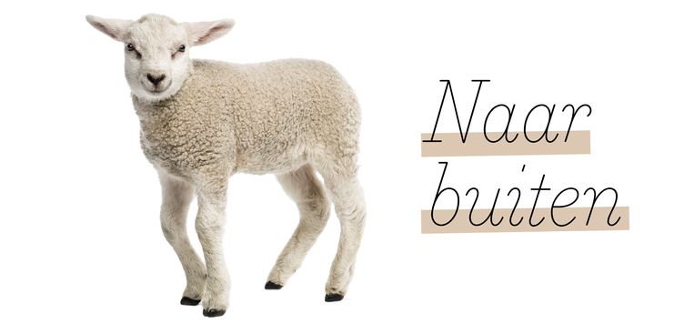 null Beeld 