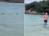 Britse Jessica is met haar zoontje (4) aan het zwemmen op Menorca wanneer ze twee haaien spot: “Toen het dichterbij kwam, beseften we dat het een vin was"