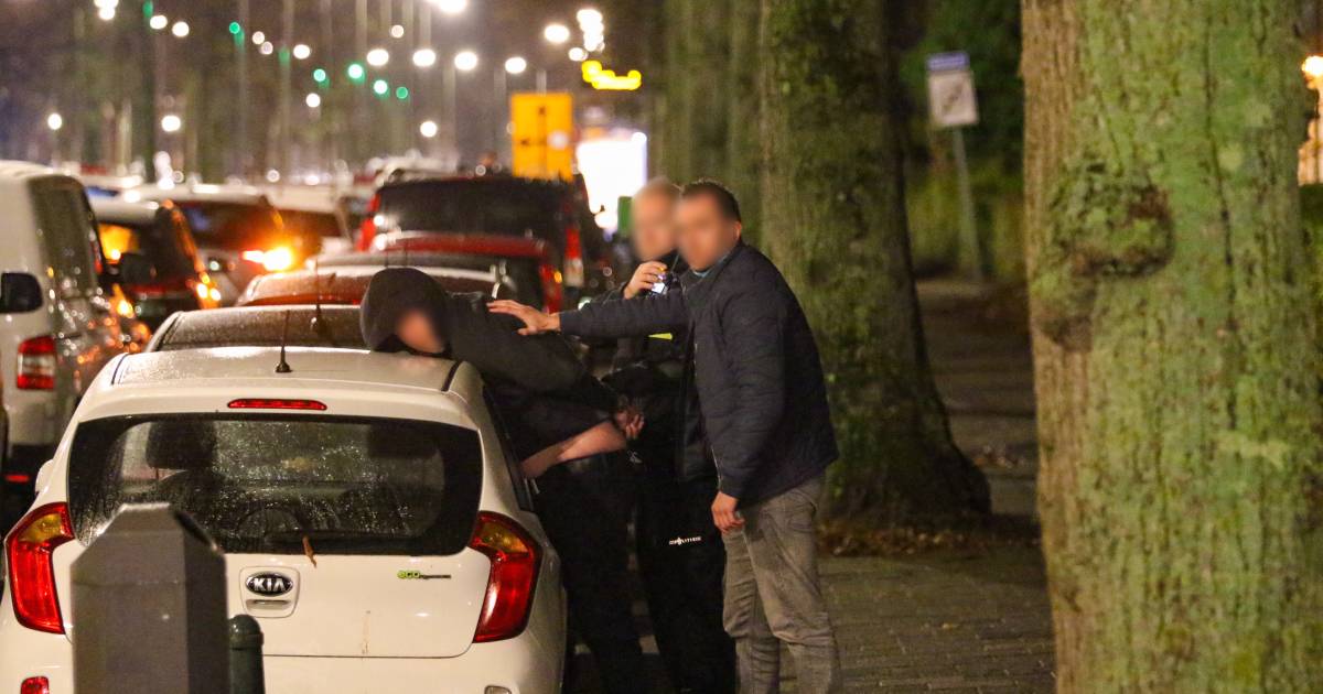Twee gewapende overvallers drongen zaterdagavond rond 18.00 uur een woning aan de Meiland in Vreewijk binnen.