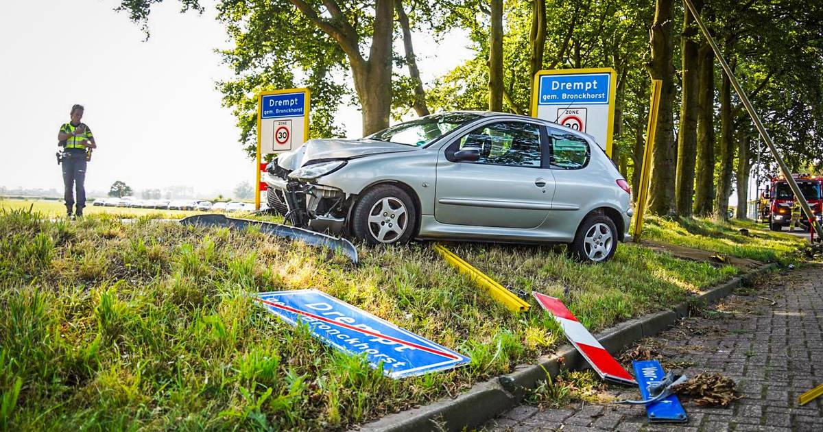 Automobilist ramt lantaarnpaal en verkeersbord aan de N317 in Drempt