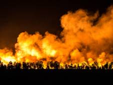 Experts waarschuwen voor onbeheersbare natuurbranden in ons land: ‘Nationaal actieplan nodig’