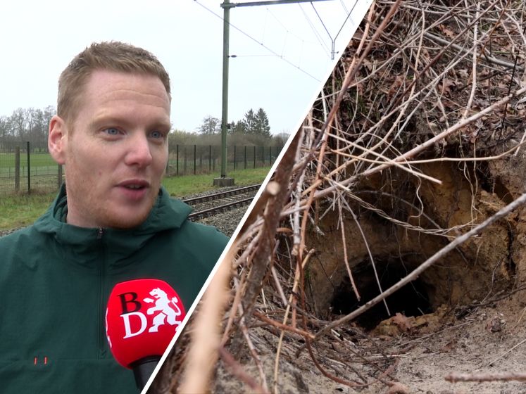 Deze dassenburcht legt het treinverkeer stil bij Den Bosch