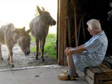 Geschenk uit de hemel voor ezelopvang, Jans (98) laat haar complete boerderij na: ‘Het was dus geen geintje’