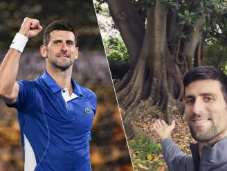 KIJK. Dankt Novak Djokovic zijn succes op Australian Open aan... een boom? “Heb er een speciale relatie mee”