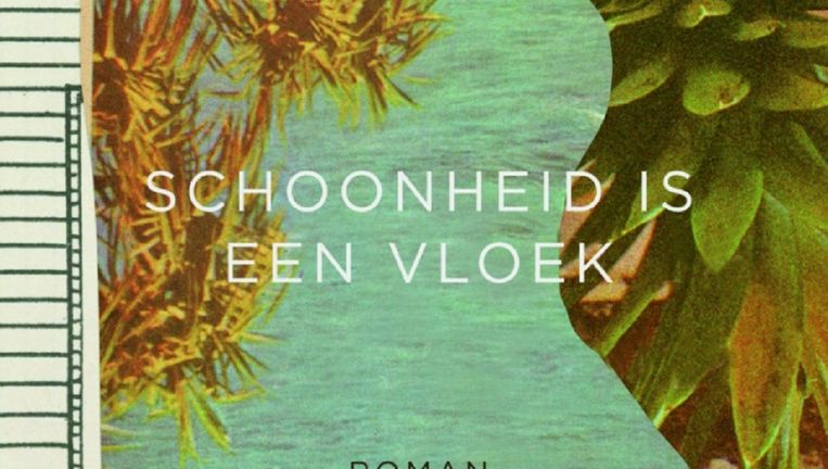 null Beeld  