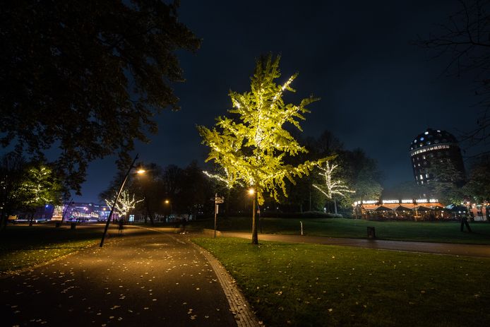 Verlichte bomen in park Valkenberg Breda.