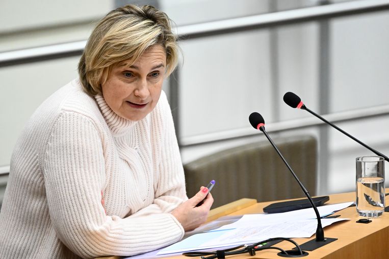 Vlaams minister van Welzijn Hilde Crevits (cd&v) trekt 200.000 euro uit om een sensibiliseringscampagne op poten te zetten. Beeld BELGA