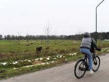 Tilburgs geboortebos is vol, maar natuur bij Pauwelshoeve biedt plek aan 500 extra bomen