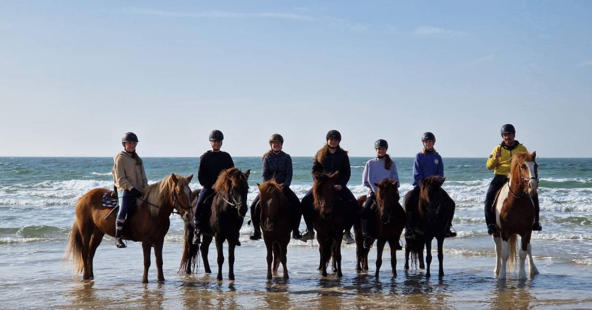 Drie keer wandelen: erop, met of zonder dier