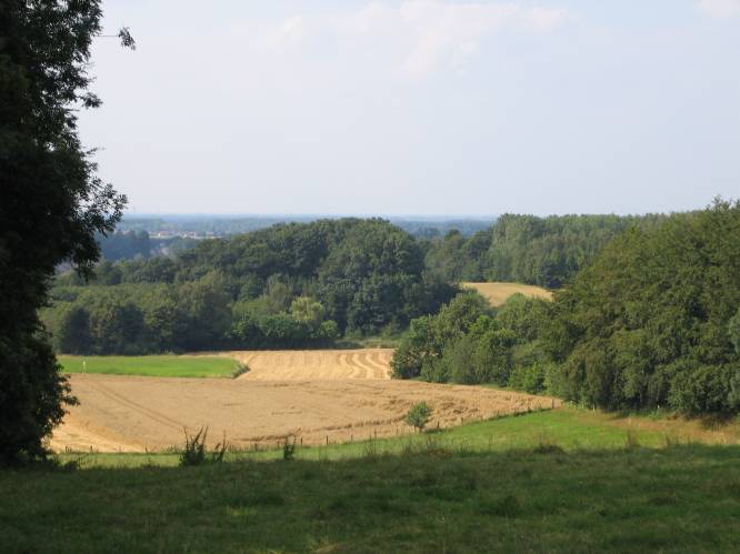Verhoogd brandgevaar in Bertembos en Eikenbos