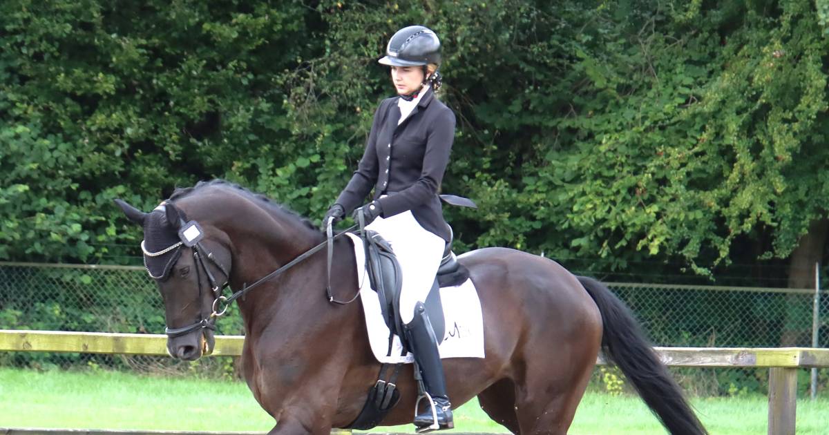 Iske Sykes koestert merrie Nadal: ‘Een heel werkwillig, braaf en slim paard’