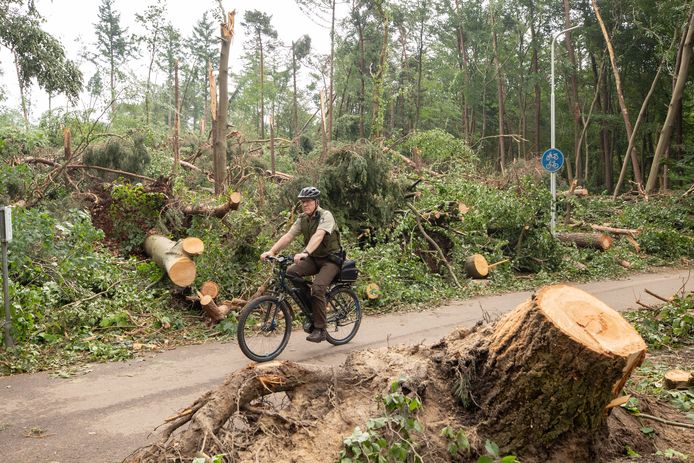 Leersum was na de valwind onherkenbaar. Bijna alle geknakte bomen zijn weggehaald, maar de leegte is groot.
