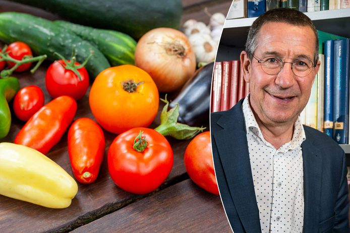 Zijn nachtschadeplanten zoals tomaten en aubergine echt zo gevaarlijk als soms (online) beweerd wordt? Toxicoloog Jan Tytgat en gastro-enteroloog Guy Boeckxstaens leggen uit.