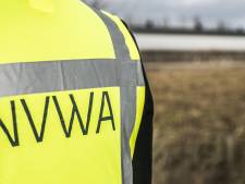 Vogelgriep op bedrijf in het Friese dorp Abbega: tienduizenden dieren worden gedood