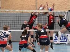 Volleybalclub Activia krijgt trainer met een smet: ‘Hij heeft gezegd hier lering uit getrokken te hebben’