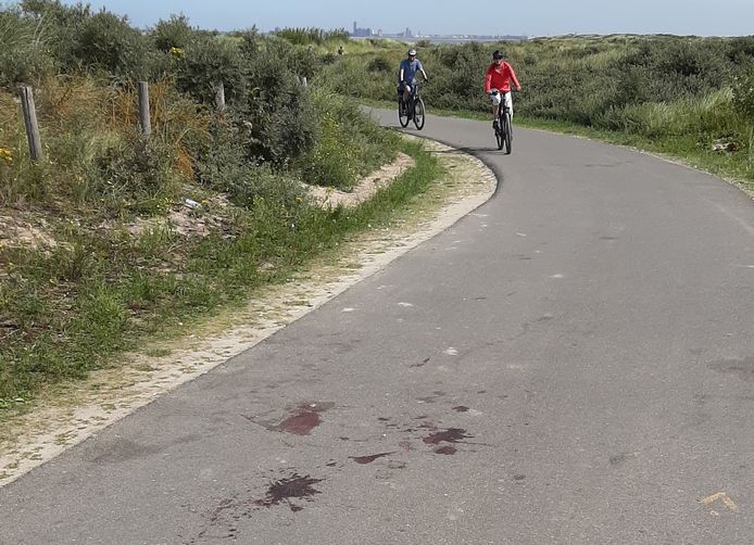 Zondagmiddag waren er nog bloedsporen (voorgrond) te zien op het duin aan de Walendijk bij Groede: hier werd zondagochtend vroeg een man uit Breskens neergestoken.