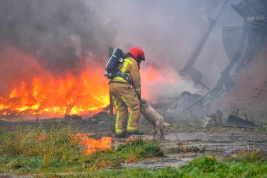 Brandweer aanwezig bij stalbrand in Heusden