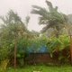 De zaak van Vanuatu over klimaatverandering bij het Internationaal Strafhof is een belangrijke voor de hele wereld