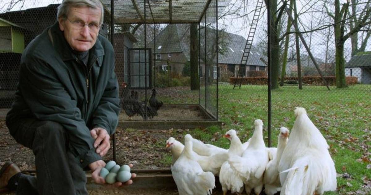 Mijlpaal Bereid Republiek De kip met de groene eieren... | Den Bosch, Vught | bd.nl