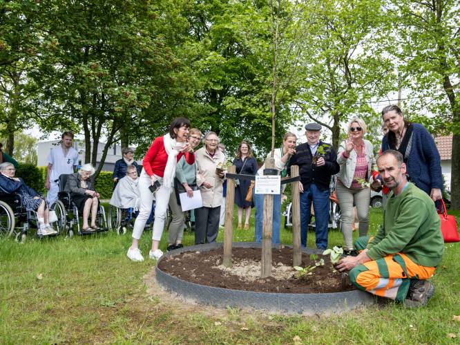 Bewoners Heymeulen en Herfstdroom planten vergeet-mij-nietjes voor project “Zuurstof voor Dementie”