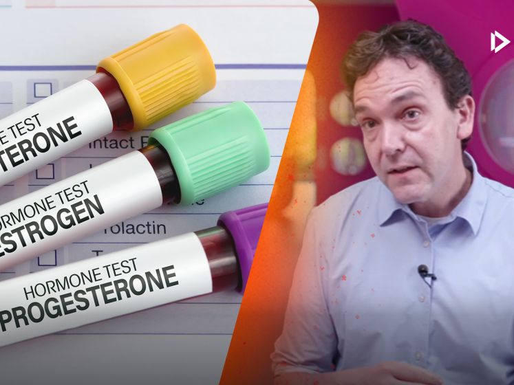 Vermoeid, gestresst of gejojo met gewicht: dit is de invloed van hormonen