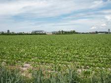 Station Zuidhoekpolder opent in 2026: Zierikzee wil de trein niet missen