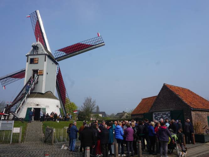 Wat te doen in Brugge en aan de kust dit weekend: van molens die hun deuren openen tot een stripfestival
