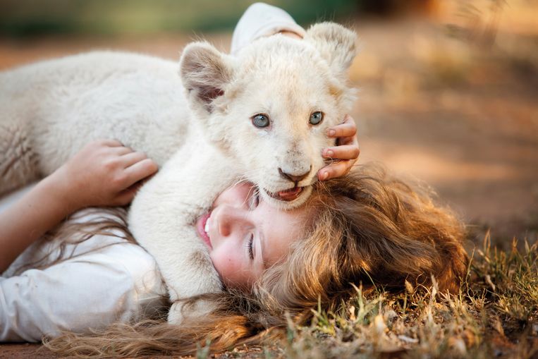 Mia and the White Lion zaagt dikke planken maar ontroert toch - Volkskrant