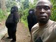 “Ja, de foto is écht”: Virungapark deelt verhaal achter gorillaselfie