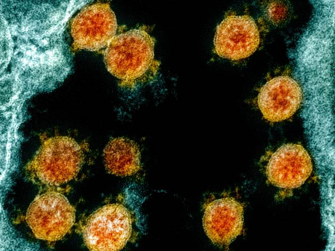 Kan mutatie invloed hebben op coronavaccin? Onze wetenschapsexpert legt uit