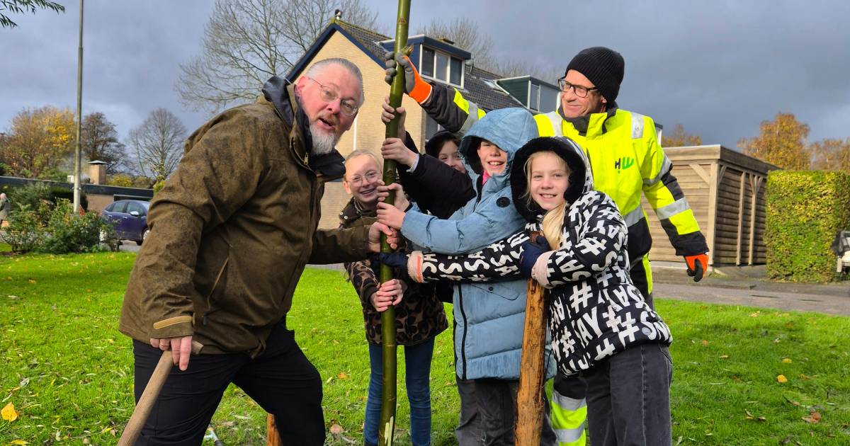 Basisschoolleerlingen planten samen met wethouders bomen in de Hoeksche Waard