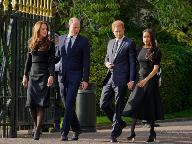 Prins Harry en Meghan Markle reageren op kankerdiagnose van prinses Kate: “We wensen haar een volledig herstel”
