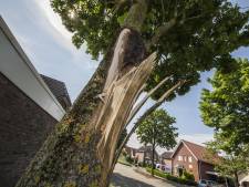 Beatrix gefotografeerd met al haar kleinkinderen | Show | AD.nl