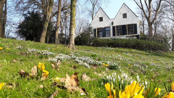 Utrecht in een winterzon. Sneeuwklokjes en krokussen op het Manenburg.