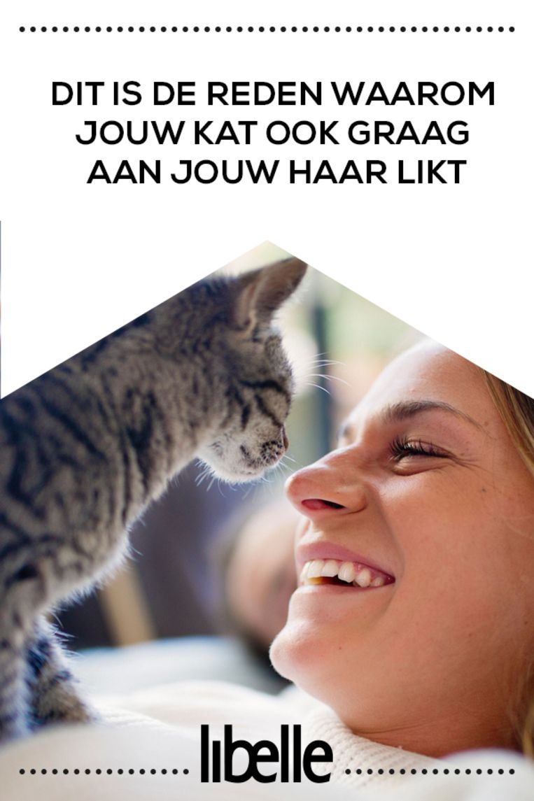 Likt je kat graag aan je haar? Dit is de (superlieve) reden Libelle