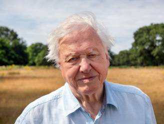 Natuurboegbeeld David Attenborough (95) waarschuwt: “G7 staat voor belangrijkste beslissingen in geschiedenis van mensheid”