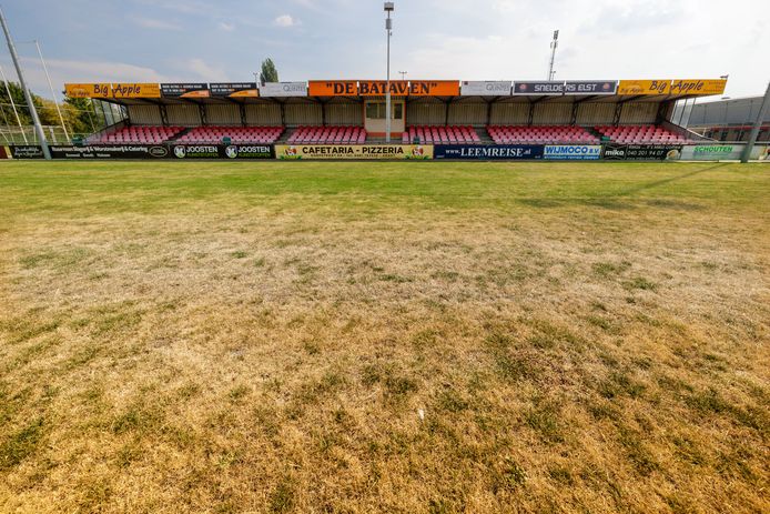 Gras op sportvelden die afgelopen zomer niet besproeid werden overleefde de droogte niet. Extreme droogte leidt tot schade aan sportvelden en een grotere kans op blessures. Foto Fons Sluiter