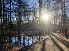 Dit weekend te doen in de Vallei: Fotograferen in de natuur, AmateurXpositie en lezing over de zin van het leven