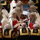 Het Brexit-spektakel verplaatst zich naar het Hogerhuis, hoe zullen de Lords te werk gaan?
