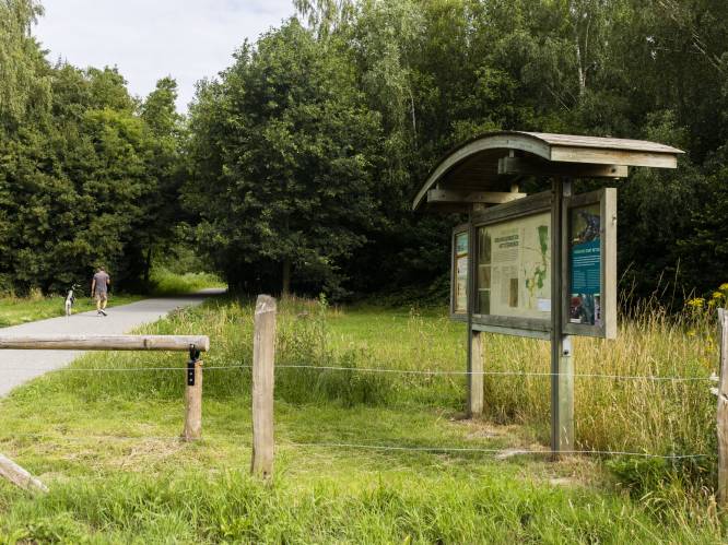 Belevingswandeling in Bergmolenbos dankzij Maten van Peegie


