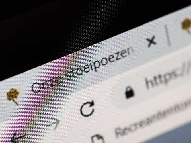 Vlaams Belang houdt van 'stoeipoezen', blijkt op Facebook